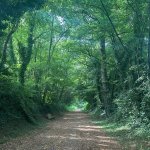 0CE7B6A7-2A76-4804-B3AC-96C2D8779AAA